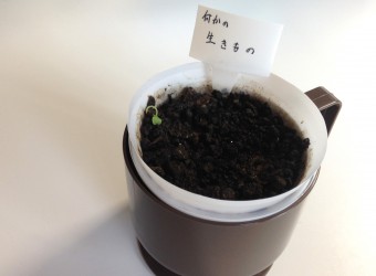 シンクメディアジャーナル：何かの生きものへちょりました