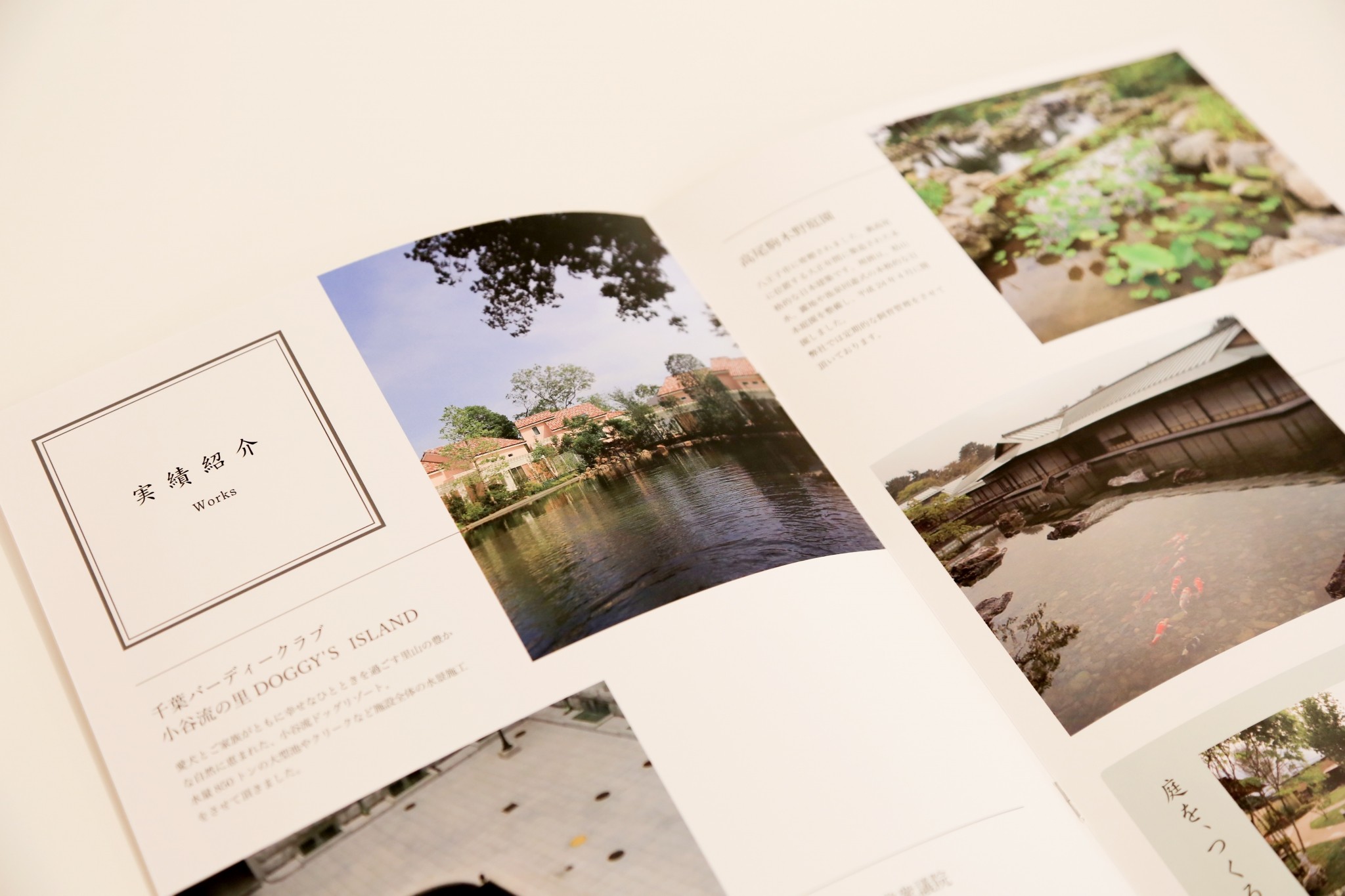 制作事例（WEB・印刷・動画・イラスト）：吉田観賞魚 | 会社案内パンフレット制作