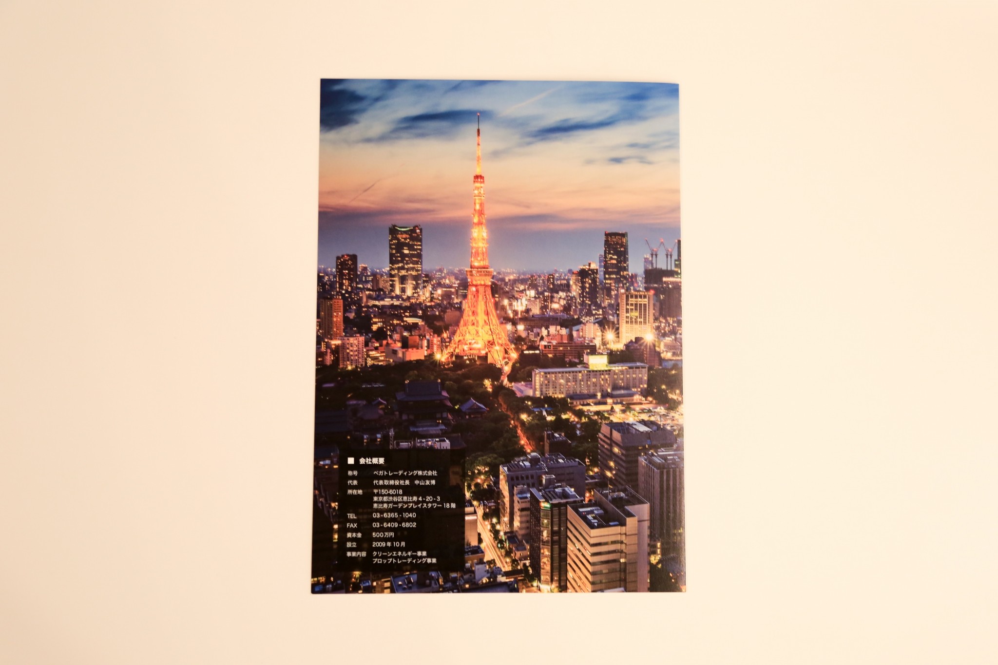 制作事例（WEB・印刷・動画・イラスト）：VEGA TRADING | 会社案内パンフレット制作