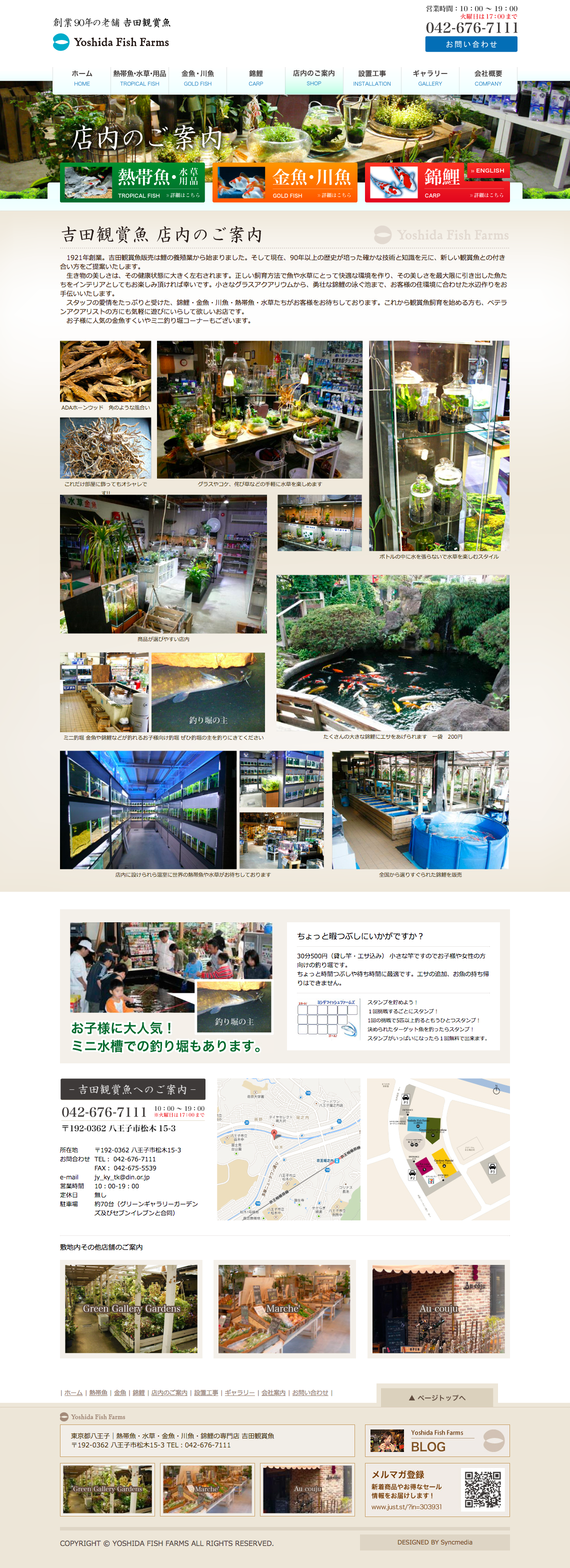 制作事例（WEB・印刷・動画・イラスト）：吉田鑑賞魚 | 店舗サイト制作