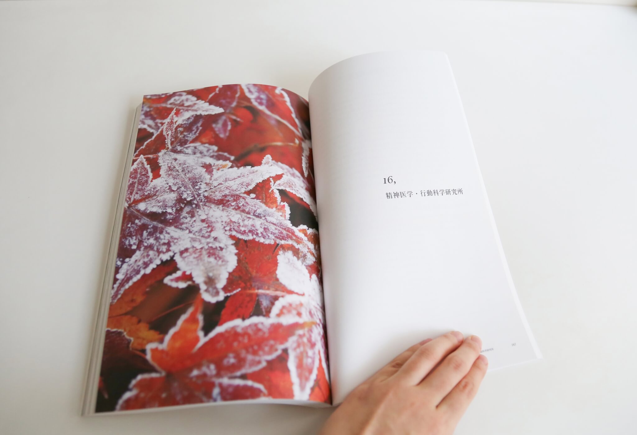 制作事例（WEB・印刷・動画・イラスト）：駒木野病院 | 平成29年度業績集