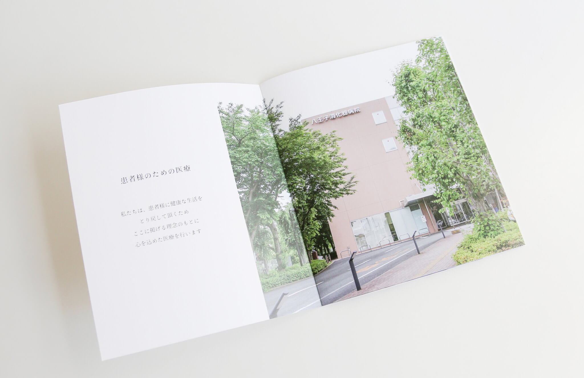 制作事例（WEB・印刷・動画・イラスト）：八王子消化器病院