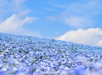 シンクメディアジャーナル：ゴールデンウィーク休業期間のお知らせ