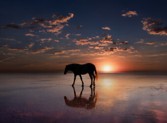 シンクメディアジャーナル：年末年始休業のお知らせ